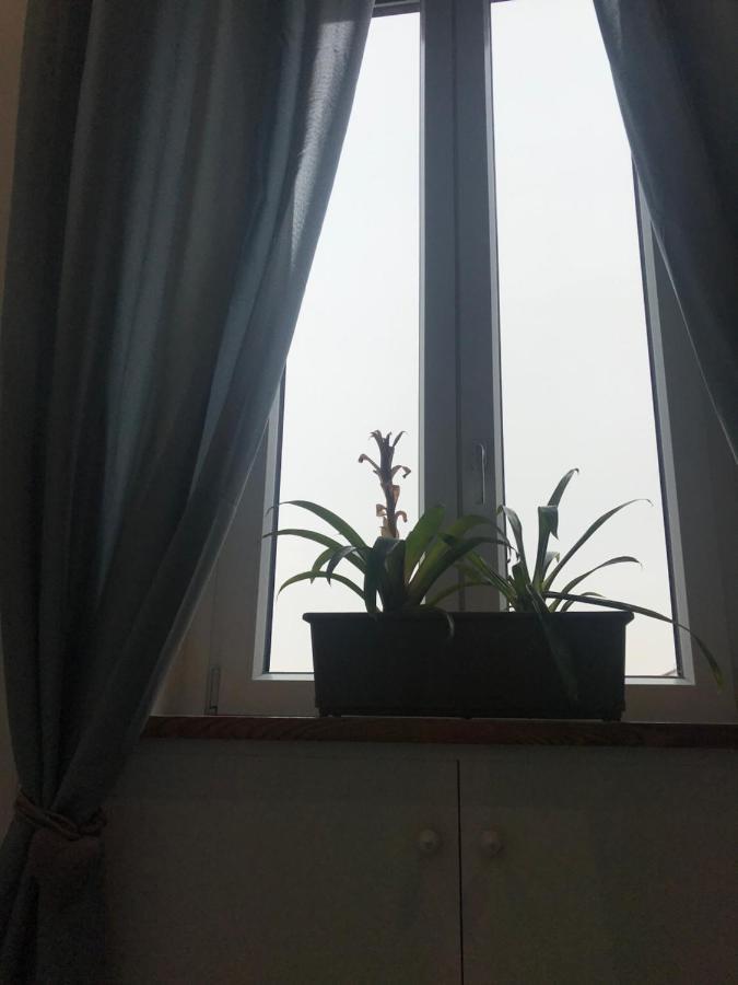 Rosa Verde Caselle Torinese Zewnętrze zdjęcie